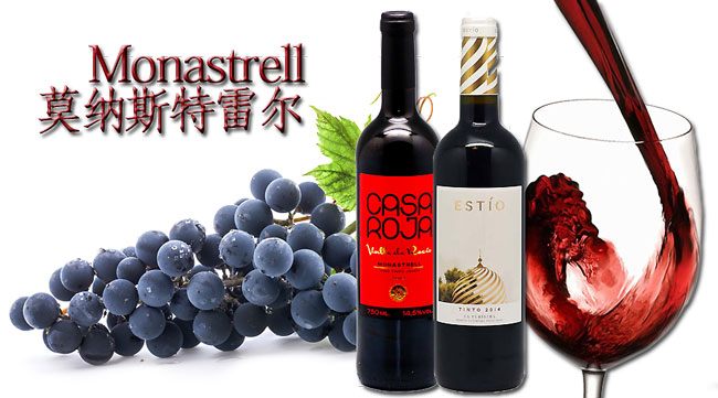 monastrell葡萄的描述monastrell莫纳斯特雷尔穆尔韦德